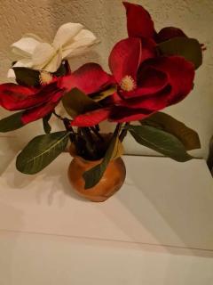 Golem Rajmonda's House - 1