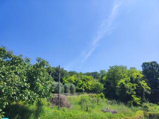 Residence Magnolia - 7