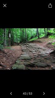 Via Degli Dei Valserena - 9