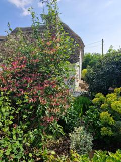 Delightful Devon Cottage - East Budleigh - 9