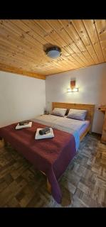 Füred Deluxe Garden Apartment - Balatonfüred - 6