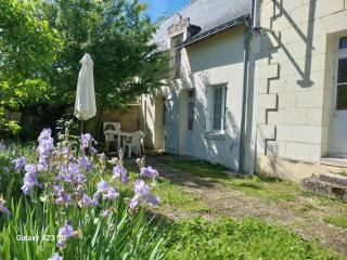 Au cœur des châteaux et des vignobles de la Loire - 1