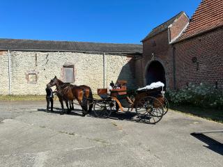 Chambre meublée ferme D’Herlaimont - Chapelle-lez-Herlaimont - 1