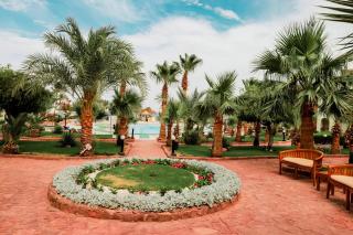 Tropitel Dahab Oasis - Dahab - 4
