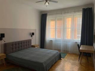 3 bedroom apartment by the Parliament - Budapest - 2