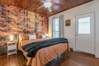 Free parking, Walk to Botanical Garden, PS4, Grill, Private fenced backyard, Pets allowed - San Antonio - 9