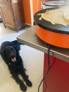 Maison des roses - 4