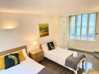 Central London 1 Bed Apt- Sleeps 3 & Pet Friendly - Londra - 1