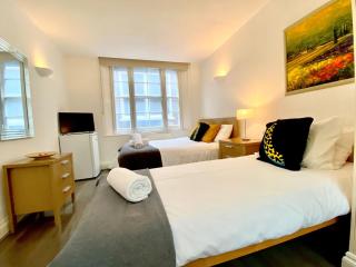 Central London 1 Bed Apt- Sleeps 3 & Pet Friendly - Londra - 0