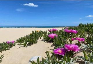 Marea il tuo angolo di paradiso in Sicilia ti aspetta prenota ora e vivi la magia del Mediterraneo - Alcamo Marina - 9