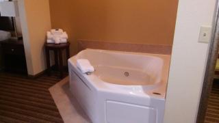 Best Western Plus Springfield Airport Inn - Springfield - 8