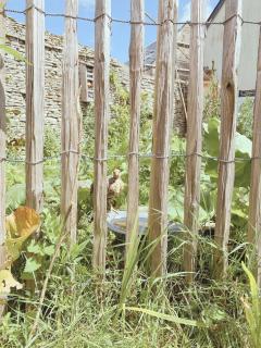 Gite L'Erable Normand - 3