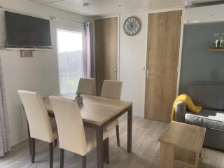 mobil home chez fred - Saint-Julien-en-Born - 1