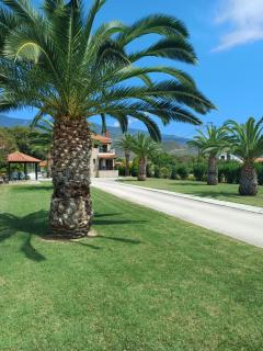 Villa Kallimanis - Platanidia - 0