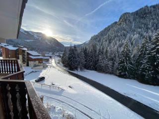 Appartement paisible à Châtel avec Multi Pass dès 3€/jour, proche centre et jardin d'enfants - FR-1-693-12 - Châtel - 8
