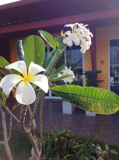 My Home Resort - 7