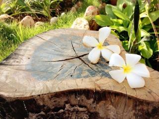 My Home Resort - 6