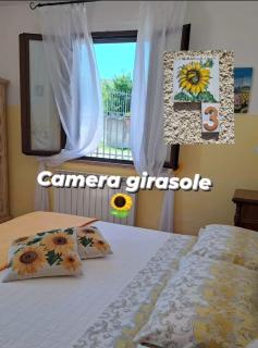 Affittacamere ALBA FIORITA - Castiglione dʼOrcia - 3