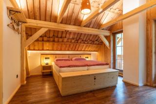 ALPIK Chalets - Bohinj - Bohinj - 9