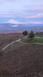 Casa da quelha- Arnozelo (Alto Douro Vinhateiro) - Arnozelo - 1