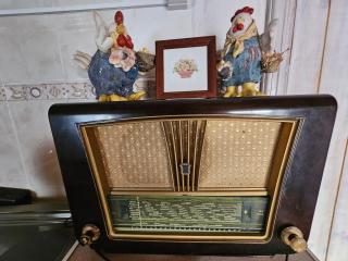 Casa da quelha- Arnozelo (Alto Douro Vinhateiro) - Arnozelo - 5