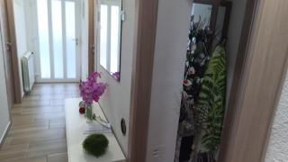 Apartment Hana - Potpićan - 6