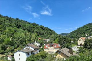 Maxim Apartments - Heidelberg - 7