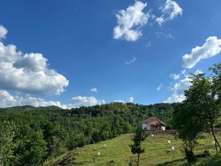 Šumska kuća Ilija - Bogutovac - 6