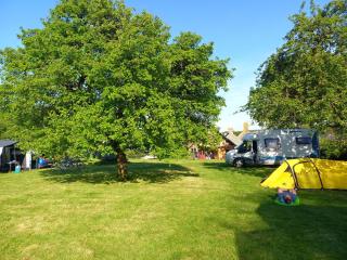 Camping sous les Poiriers - Domfront - 0