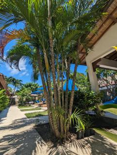 Indigo Bungalows - Gili Trawangan - 6