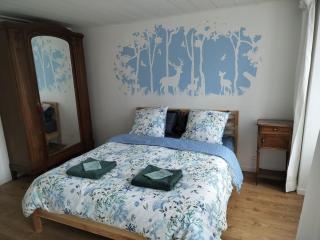 La Ramure, maison de village - Allanche - 0