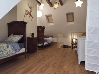 La Ramure, maison de village - Allanche - 1