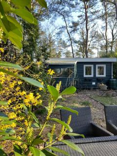Chalet De Maanvaren - Hattemerbroek - 0