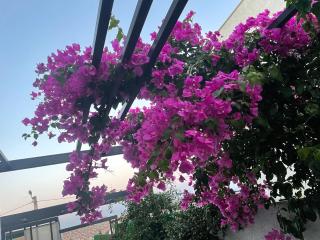 Havuzlu ve jakuzili full eşyalı lüks villa - 6