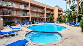 Beachview 206 Condominium Condo - South Padre Island - 8