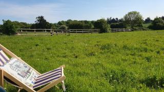 Trailor Escape GLAMPING POD - our converted horse box at Nelson Park Riding Centre - Birchington, Margte, Thanet, Ramsgate, Broadstairs, Sandwich, Herne Bay - 8