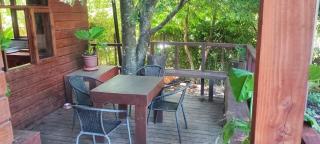 casa y tinaja claro pucon - Pucón - 2