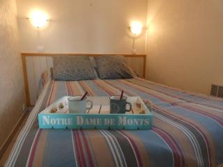 Maison de Vacances avec Piscine, Plage à 1 km, Wifi, 5 pers – Notre-Dame-de-Monts - FR-1-540-289 - Notre-Dame-de-Monts - 8