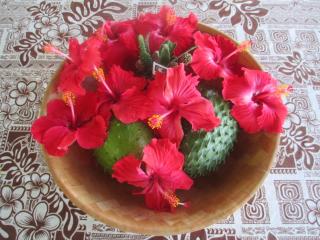 TahitiSylvie Home - Aoua - 5