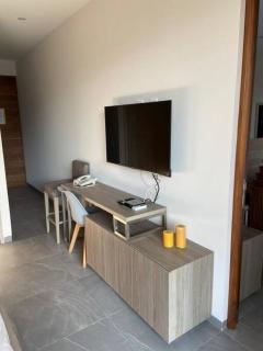 Luxury Condo, 2BR PH, 3BA, Private Rooftop, Sauna - Playa del Carmen - 7