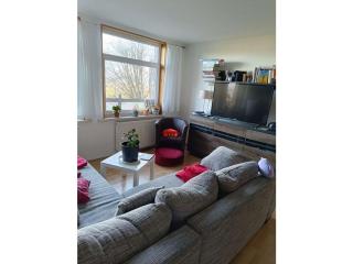 Peine Comfortable holiday residence - Reinhardtsdorf - 5