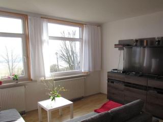 Peine Comfortable holiday residence - Reinhardtsdorf - 1