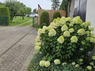 Eldeufer Comfortable holiday residence - Plau am See - 6