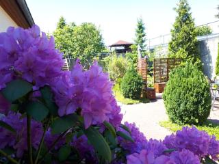 Eldeufer Comfortable holiday residence - Plau am See - 3