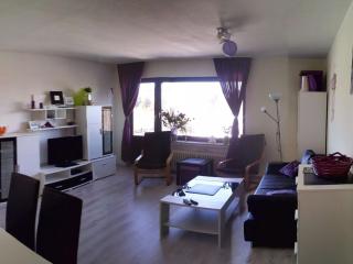 Winterberg Comfortable holiday residence - Winterberg - 1