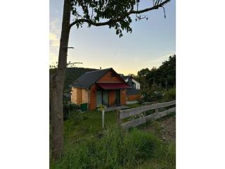 Kellerwald Chalet Comfortable holiday residence - 6