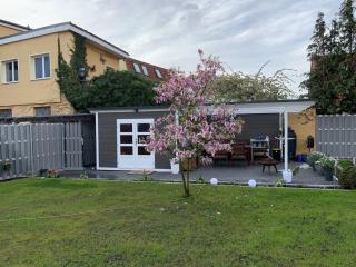 1 - On the Müritz lakeshore - Waren - 4