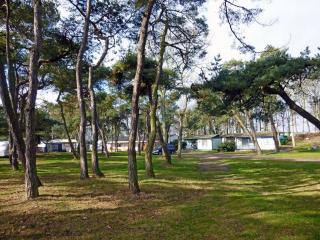 Wallocha Comfortable holiday residence - Altenkirchen - 1