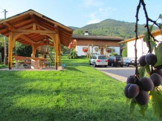1 - House Rosenegger - Staudach-Egerndach - 9