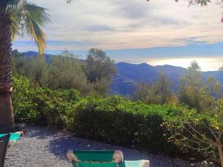 Casa Ranita Comfortable holiday residence - Sayalonga - 3